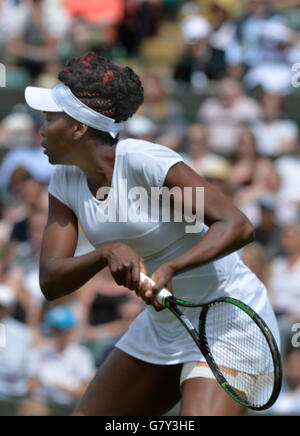 Wimbledon, London, UK. 27. Juni 2016. AELTC Tennis Championships in Wimbledon London UK Venus Williams USA im 1. Runde entsprechen Credit: Leo Mason Fotos/Alamy Live Sport News Stockfoto