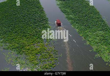 Zaozhuang, China Shandong Provinz. 27. Juni 2016. Touristen auf einem Sightseeing-Boot anzeigen Lotusblüten in einem Kanal Wetland Park in Tai'erzhuang District von Zaozhuang City, der ostchinesischen Provinz Shandong, 27. Juni 2016 Bildnachweis: Gao Qimin/Xinhua/Alamy Live-Nachrichten Stockfoto