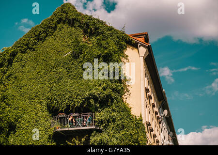 Berlin, Deutschland. 27. Juni 2016. Eine begrünte Hausfassade mit Balkon in Berlin - Wedding, 28. Juni 2016. Foto: picture Alliance/Robert Schlesinger | weltweite Nutzung/Dpa/Alamy Live-Nachrichten Stockfoto