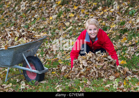 Gartenarbeit, Frau weglegen Blätter in einer Schubkarre Stockfoto