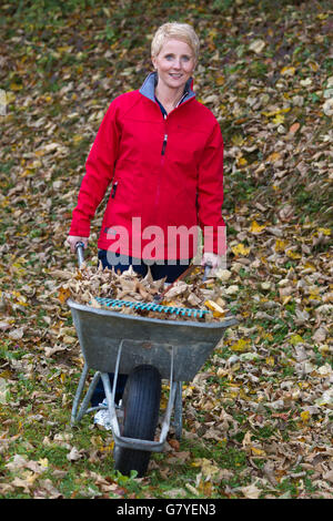 Gartenarbeit, Frau Schubkarre voller Blätter Stockfoto