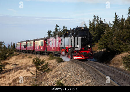 Brockenbahn-Bahn auf dem Weg zum Gipfel, Harzer Schmalspur-Eisenbahn, HSB, Brocken Berg, Nationalpark Harz Stockfoto