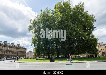 Bath, UK - 15. August 2015: Der berühmte Zirkus BuildingIt ist ein Beispiel der georgischen Architektur in der Stadt Bath Stockfoto