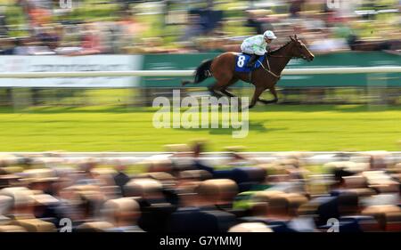 Pferderennen - 2015 Dante Festival - Betfred Yorkshire Cup - York Racecourse. Yorkidding mit Silvestre De Sousa gewinnt am dritten Tag des Dante Festivals auf der York Racecourse, York, die „Constant Security Stakes“. Stockfoto