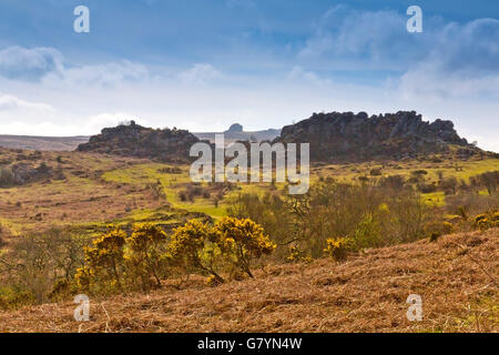 Greator Felsen vom Ansatz bis Hound Tor auf Dartmoor, Devon, England, UK Stockfoto