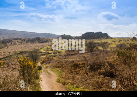 Greator Felsen aus dem Weg zu Hound Tor auf Dartmoor, Devon, England, UK Stockfoto