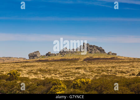 Das unverwechselbare Granit-Profil von Hound Tor auf Dartmoor, Devon, England, UK Stockfoto