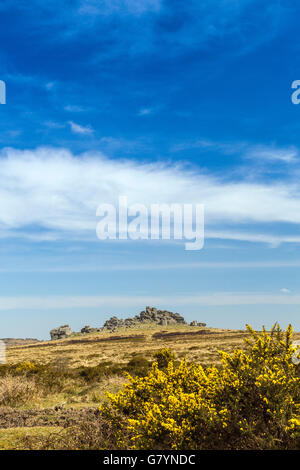 Das unverwechselbare Granit-Profil von Hound Tor auf Dartmoor, Devon, England, UK Stockfoto