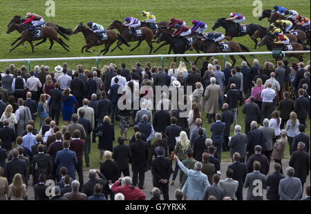 Die Läufer gehen die Geraden entlang während des Havana Gold Handicap Stakes Race Run am QIPCO 1000 Guineas Tag des QIPCO Guineas Festivals auf der Newmarket Racecourse. Stockfoto