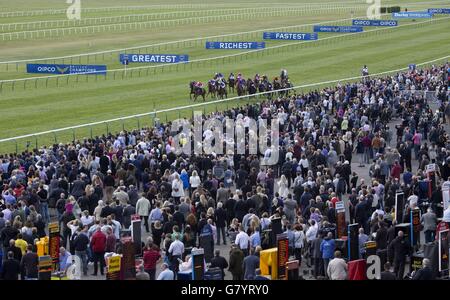 Die Läufer gehen die Geraden entlang während des Havana Gold Handicap Stakes Race Run am QIPCO 1000 Guineas Tag des QIPCO Guineas Festivals auf der Newmarket Racecourse. Stockfoto