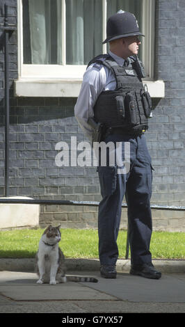 Larry, die Katze, sitzt neben einem Polizisten vor der Downing Street 10 in London, während Großbritannien heute bei den unsichersten Parlamentswahlen seit Jahrzehnten an die Wahlurne geht, ohne dass eine Partei auf dem Weg ist, ein klarer Sieger zu werden. Stockfoto