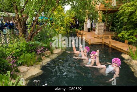 2015 RHS Chelsea Flower show Stockfoto