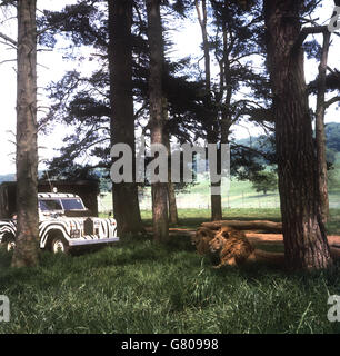 Gebäude und Wahrzeichen - Longleat Safari und Abenteuerpark, Wiltshire Stockfoto