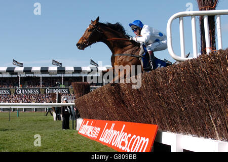 Pferderennen - Cheltenham Festival 2005 - Cheltenham Racecourse. König Harald, der von Matthew (Matty)Batchelor geritten wird, führt in der Handicap Steeplechase der Jewson-Novizen über den Zaun Stockfoto