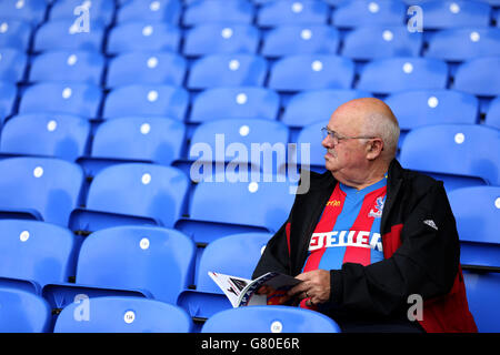 Fußball - Barclays Premier League - Crystal Palace gegen Swansea City - Selhurst Park Stockfoto