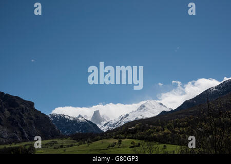 Naranjo de Bulnes - Picu Urriellu-von Pozo De La Oración, Cabrales, Asturien, Nordspanien gesehen. Stockfoto