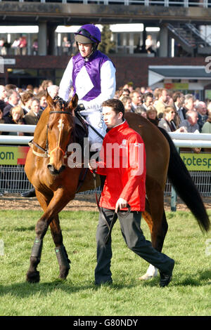 Der von Jockey Barry Geraghty gerittene King wird herausgefahren Für den totesport Cheltenham Gold Cup Stockfoto