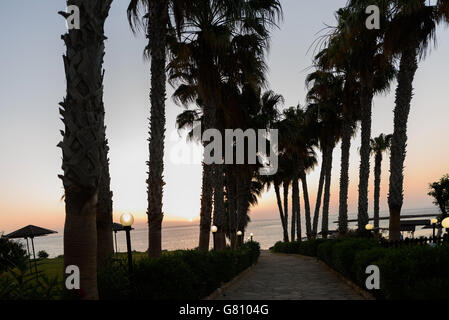 Palmen am Sonnenaufgang Beach Protaras, Zypern-Insel Stockfoto