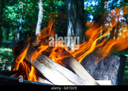 Vorbereitung der Grill im Garten, Holzofen Stockfoto