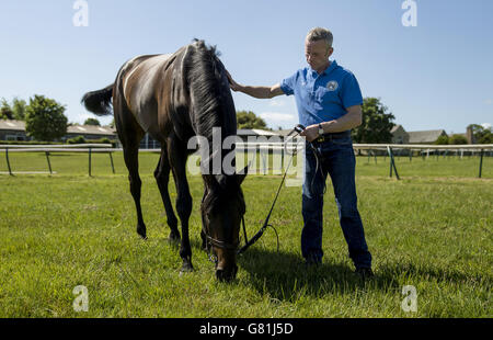 Pferderennen - 2015 Investec Derby Festival - Derby-Gewinner Photocall - Clarehaven Stables. Epsom Derby Gewinner Golden Horn mit Handler Michael Curran während einer Fotoausstellung in Clarehaven Stables, Newmarket. Stockfoto