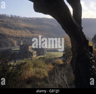 Gebäude und Denkmäler - Tintern Abbey - Monmouthshire. Tintern Abbey in Monmouthshire. Stockfoto