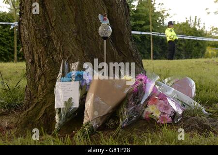 Amber Peat Tod Stockfoto