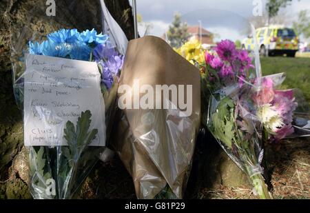 Amber Peat Tod Stockfoto