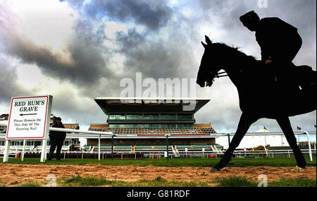 Pferderennen - Grand National Meeting - Aintree Racecourse. Pferde absolvieren ihre morgendliche Übung auf den Galopps am Grab von Red Rum vorbei. Stockfoto