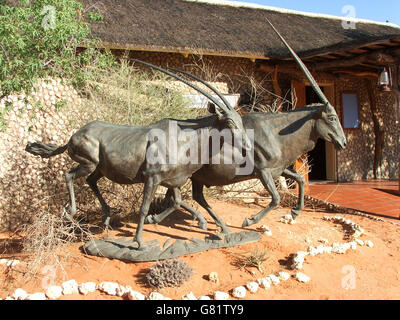 Gemsbock-Statue, Kgalagadi Transfrontier Park, Afrika Stockfoto