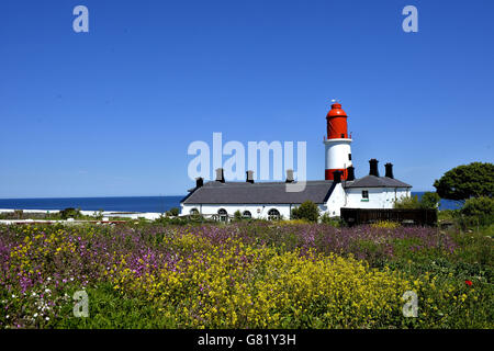 Ein klarer blauer Himmel über dem Leuchtturm von Souter im Dorf Marsden in South Tyneside, Tyne and Wear, als eine Unwetterwarnung für Gewitter am Freitag ausgegeben wurde, der der bisher heißeste Tag des Jahres sein könnte. Stockfoto