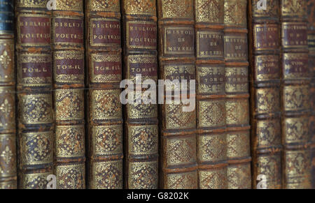 Bücher auf einem Bücherregal im Althorp House in Northamptonshire. Das Althorp Literary Festival findet jährlich im Althorp House statt, der Heimat der Familie Spencer. Stockfoto