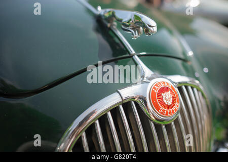 Detail von der Vorderseite der 1950er Jahre grüne Jaguar 3.4 Liter Sportwagen. Stockfoto