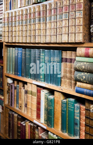 Bücher über Bücherregale Stockfoto