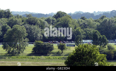 Pferde beim Start der Investec Oaks am Ladies Day des Investec Derby Festivals 2015 auf der Epsom Racecourse, Epsom. Stockfoto