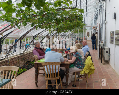 Café in einem restaurierten viktorianischen Weingut im Helmsley, North Yorkshire. Stockfoto