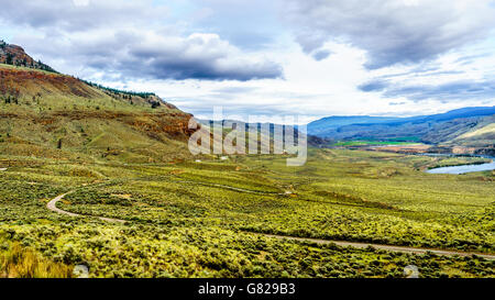 Das Gras bedeckten Hügeln des Thompson River Tal entlang des Trans Canada Highway zwischen Cache Creek und Kamloops, BC, Kanada Stockfoto