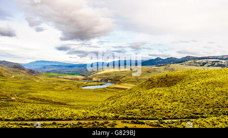 Das Gras bedeckten Hügeln des Thompson River Tal entlang des Trans Canada Highway zwischen Cache Creek und Kamloops, BC, Kanada Stockfoto