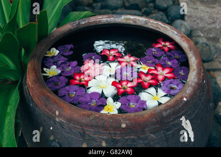 Bunte Blumen schweben im Wasser Urne Stockfoto