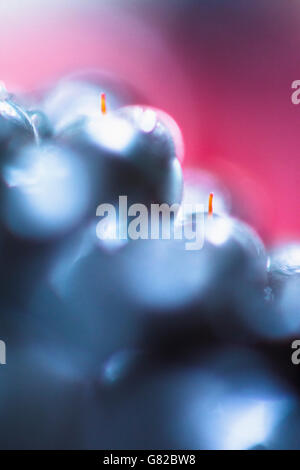Extreme Nahaufnahme von Heidelbeeren Stockfoto