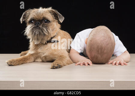 Jungen schlafen mit Kopf nach unten von Hund am Tisch vor schwarzem Hintergrund Stockfoto