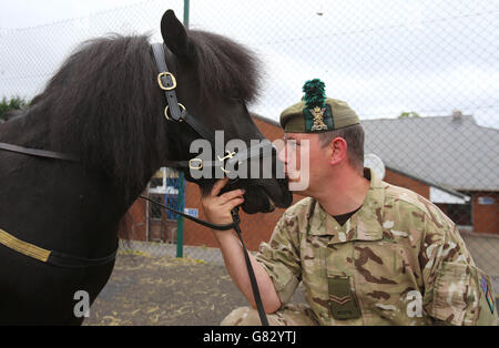 Pony Major Corporal Mark Wilkinson von 1 Schotten die Royal Scots Borderers in Palace Barracks in Holywood, mit dem Regimentsmaskottchen ein Shetland Pony namens Cruachan der 4. Stockfoto