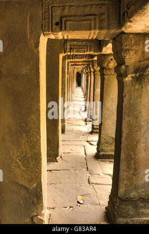 Angor Ta Prohm Khmer alten buddhistischen Tempel im Dschungel Wald. Wahrzeichen, Kult-und beliebten touristischen Reisen dest Stockfoto