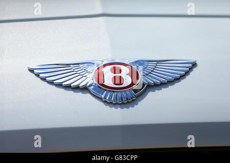 Kfz-Kennzeichen. Ein Bentley-Emblem auf der Motorhaube eines Bentley. Stockfoto