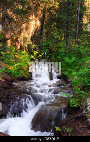 Wasserfall Landschaft Lavasee Trailhead. Big Sky, Montana. Stockfoto