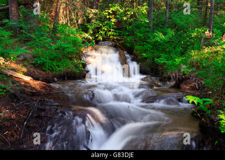 Wasserfall Landschaft Lavasee Trailhead. Big Sky, Montana. Stockfoto