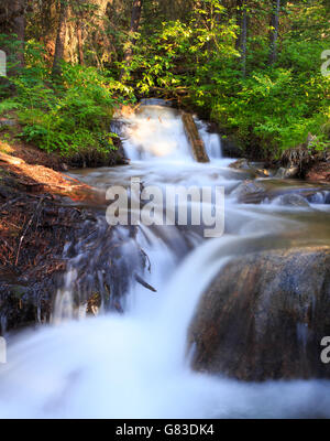 Wasserfall Landschaft Lavasee Trailhead. Big Sky, Montana. Stockfoto