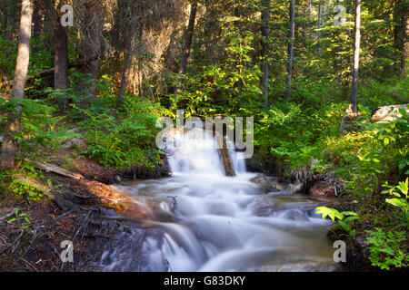 Wasserfall Landschaft Lavasee Trailhead. Big Sky, Montana. Stockfoto