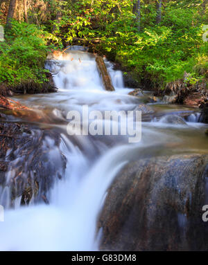 Wasserfall Landschaft Lavasee Trailhead. Big Sky, Montana. Stockfoto