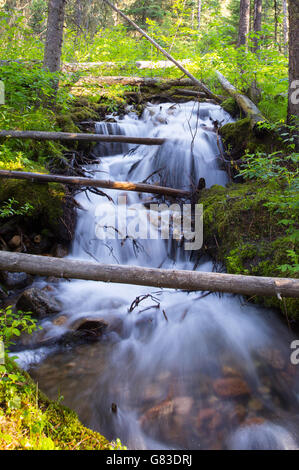 Wasserfall Landschaft Lavasee Trailhead. Big Sky, Montana. Stockfoto