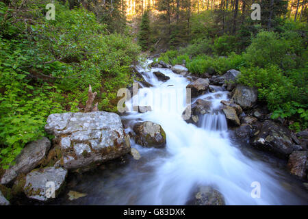 Wasserfall Landschaft Lavasee Trailhead. Big Sky, Montana. Stockfoto